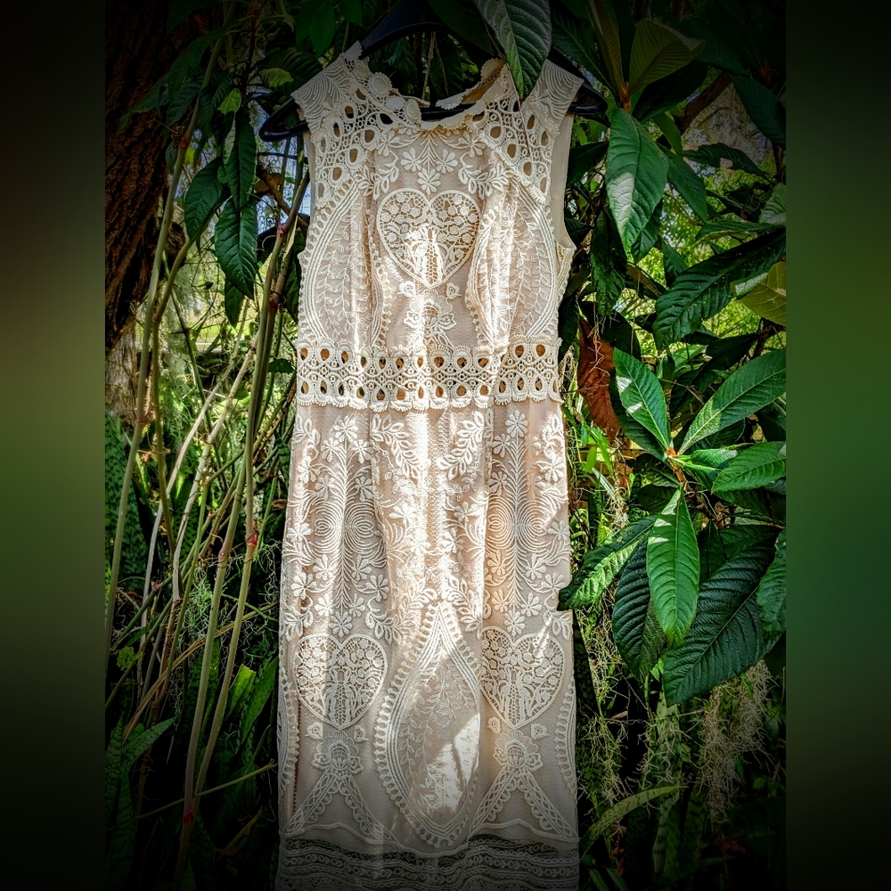 Anna Sui Limited Edition Decades Lace Dress